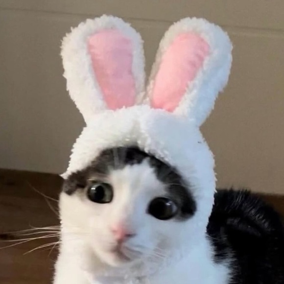 maddmags